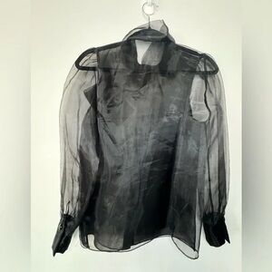 Sheer Black Long Sleeve Blouse